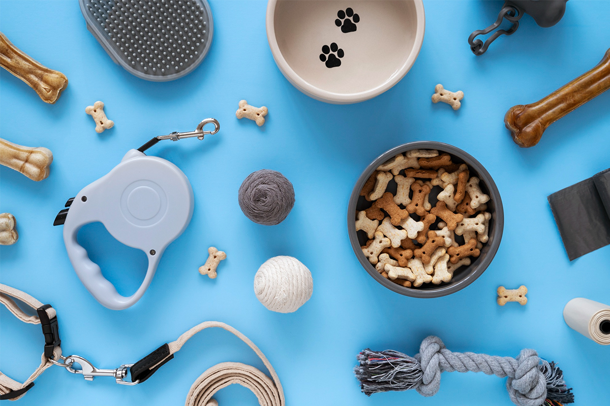 Ce trebuie să știi dacă ai adus un câine în viața ta