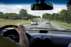 O fostă concurentă Miss Univers din Rusia a murit după ce un elan i-a intrat prin parbrizul mașinii