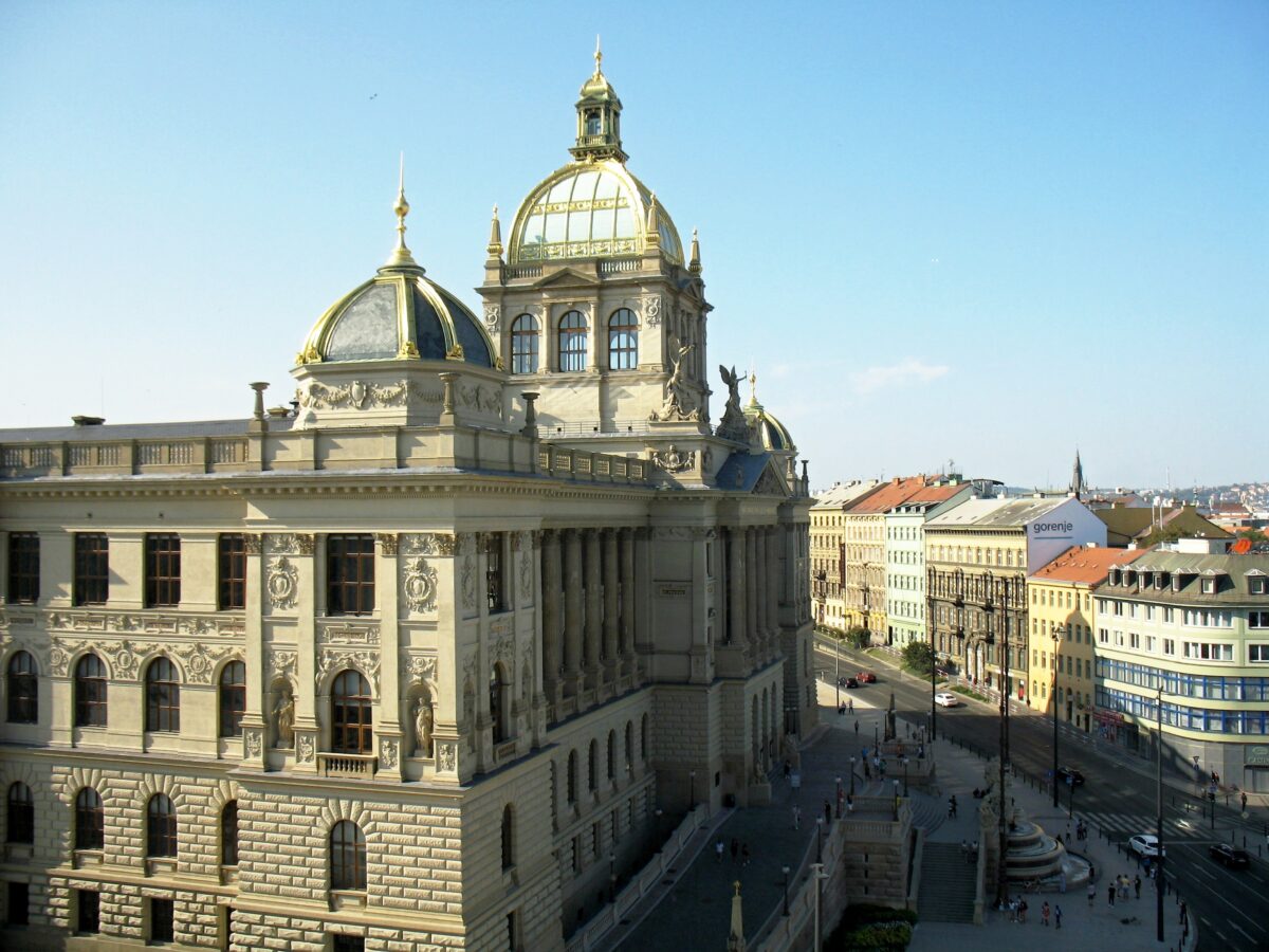 Osemintele lui Lucy, cel mai cunoscut exemplar de australopitec, vor fi expuse la Muzeul Național din Praga