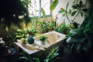Cele mai potrivite plante pentru baie: o oază verde cu aer de spa, chiar la tine acasă