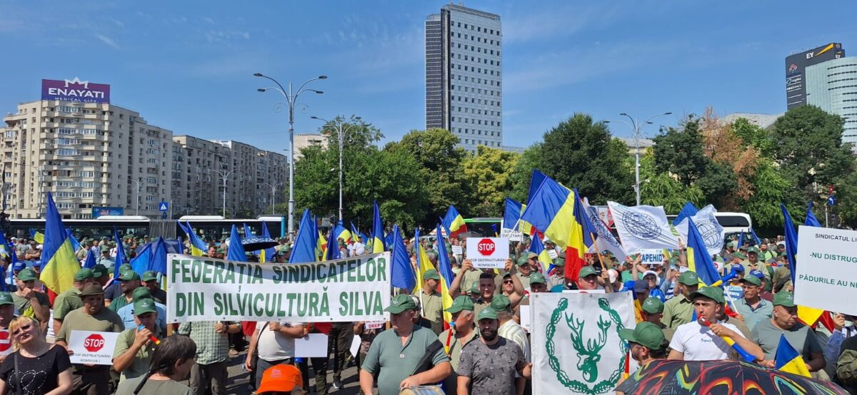 Ministerul Justiției solicită refacerea proiectului de HG privind „reforma” Romsilva