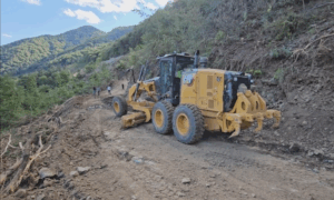 Sectiunea 3, autostrada Pitesti - Sibiu