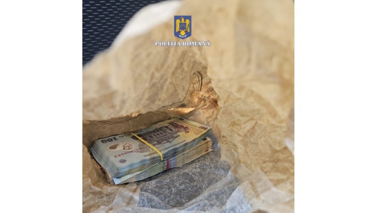 Au furat 30.000 de euro de la un bătrân, mințind că fac deratizare