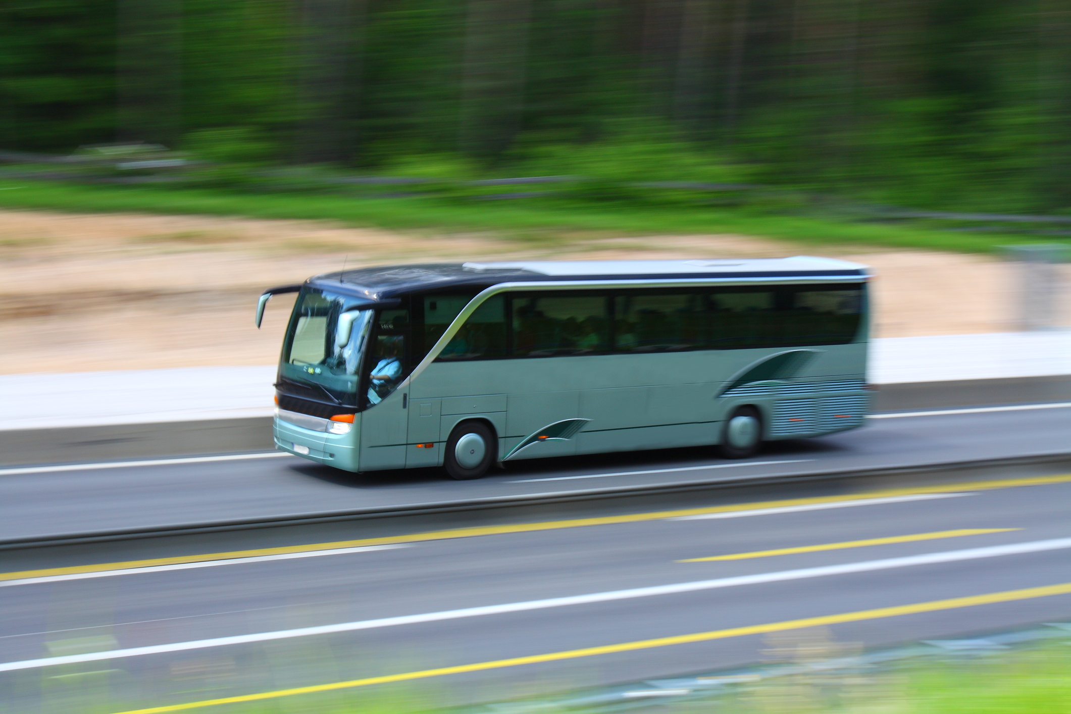 Noua Zeelandă. Un copil de doi a fost găsit într-o valiză din portbagajul unui autobuz