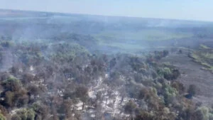 Incendiul din Delta Dunării a mistuit 75 de hectare. Situația este critică