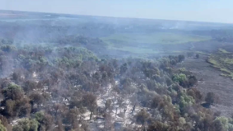 Incendiul din Delta Dunării a mistuit 75 de hectare. Situația este critică