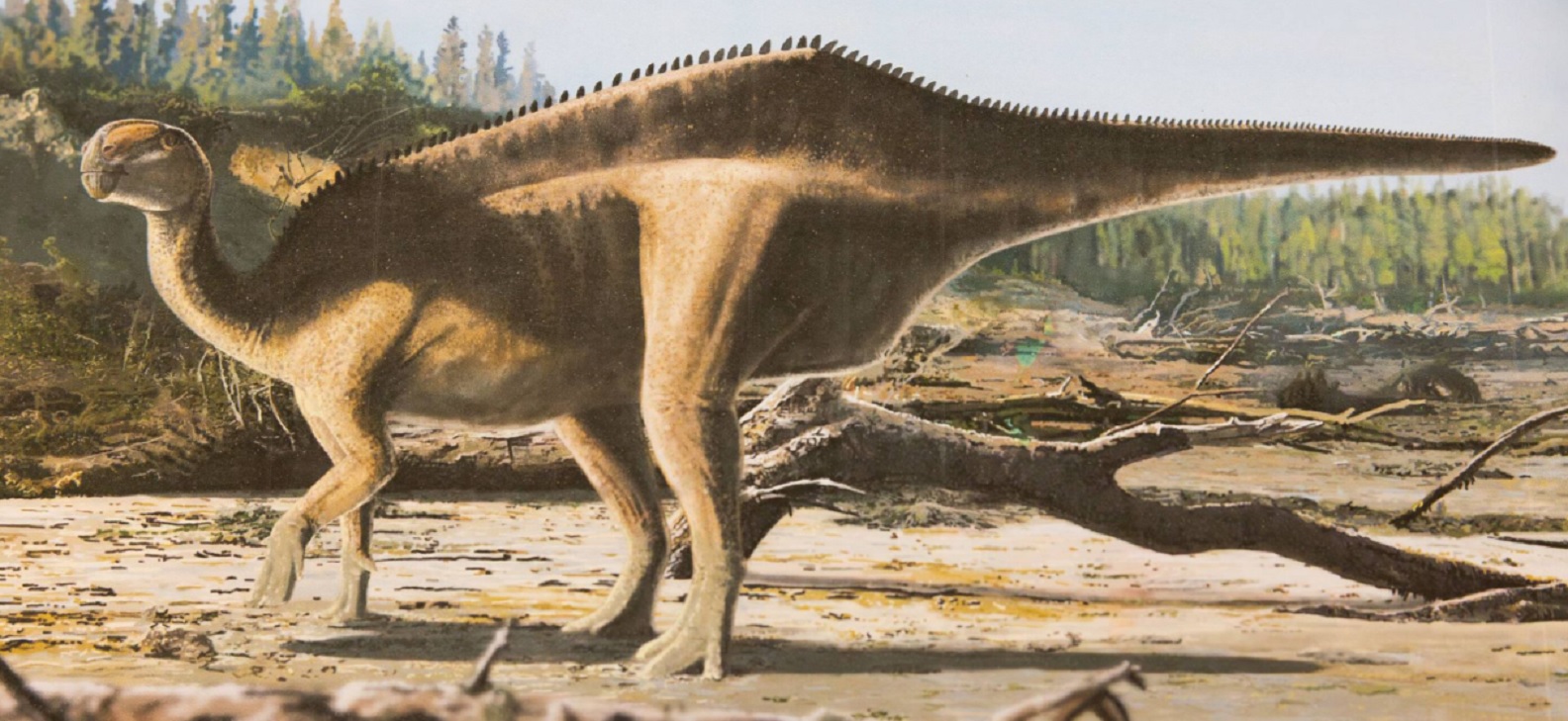 Descoperire majoră pe Insula Wight. Simbol științific și omagiu sportiv