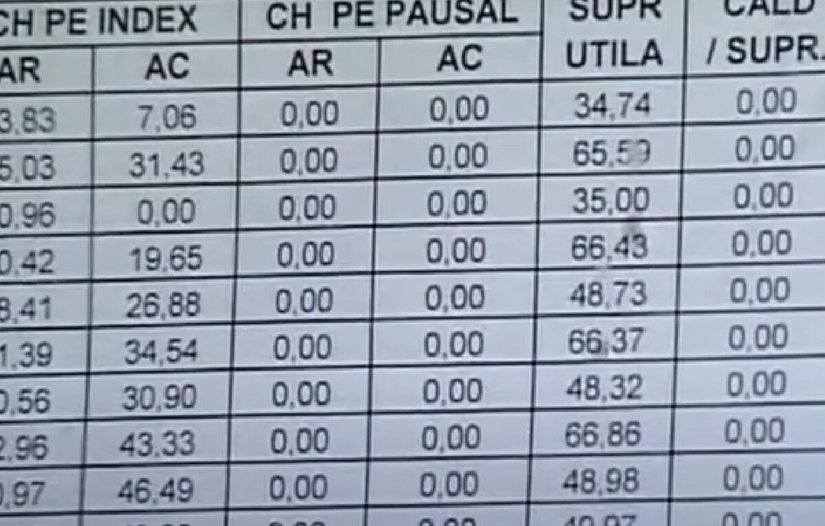 Copiii și animalele de companie, trecuți la întreținere. Ce prevede noul proiect