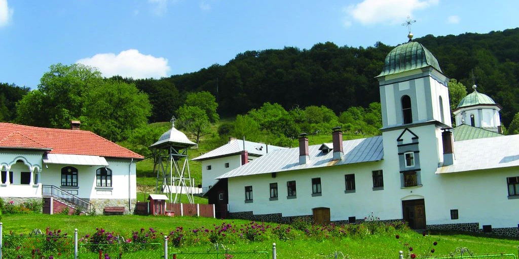 Povestea tinerelor care au sfidat blestemul de la Frăsinei și și-au pierdut viața