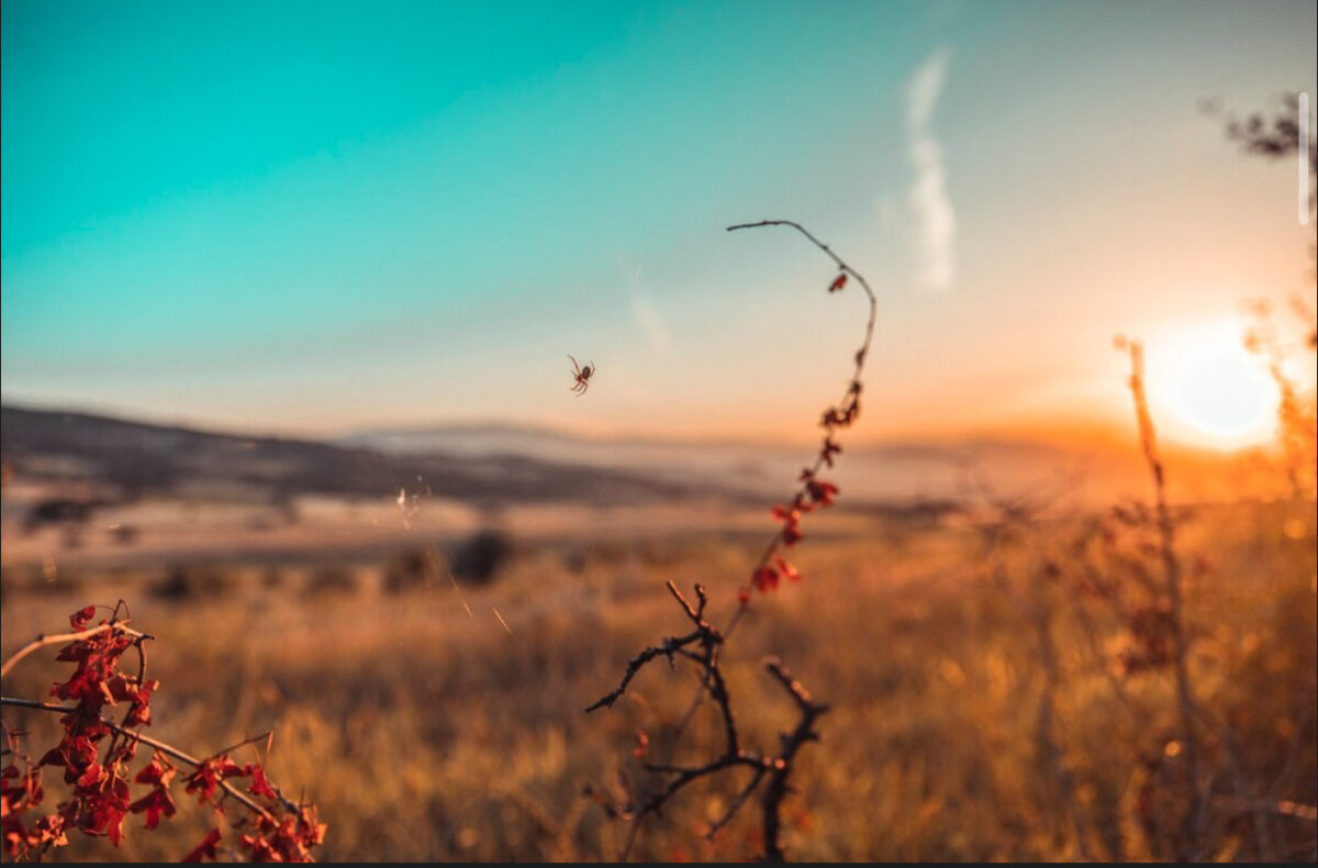 Prognoza meteo, 29 august. Ultimele zile de vară aduc temperaturi sufocante. Unde apar ploile