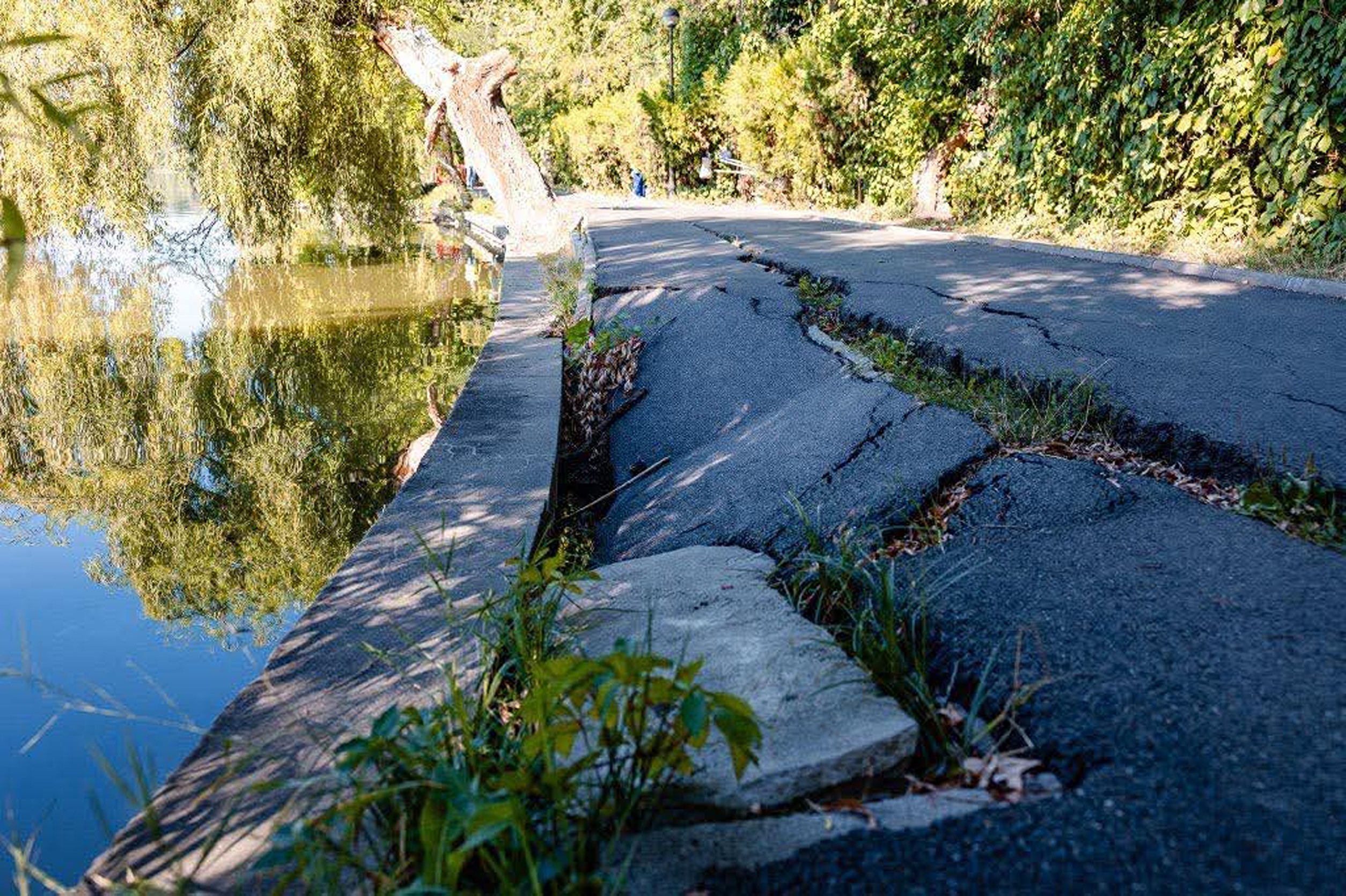 Primăria Capitalei anunță că aleile din Parcul Herăstrău intră în reparaţii pentru siguranţa vizitatorilor