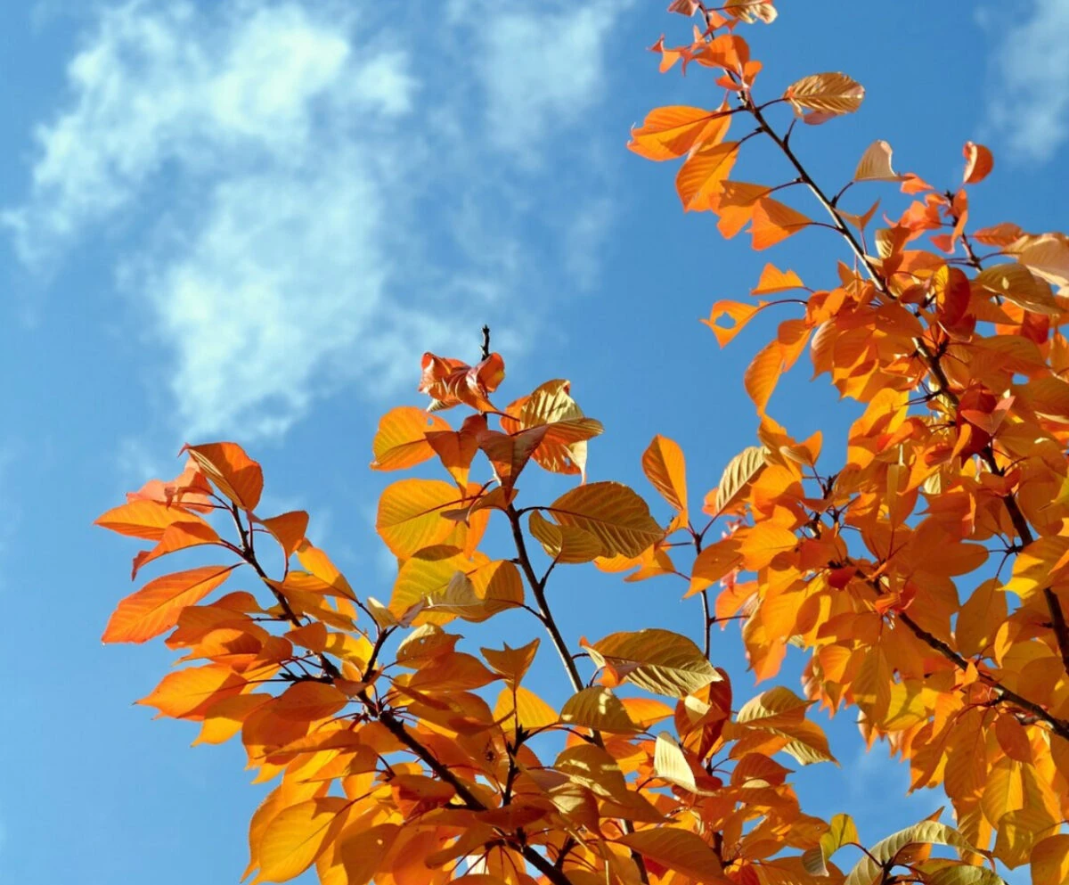 Un nou val de căldură în România. Temperaturile urcă la 32 de grade