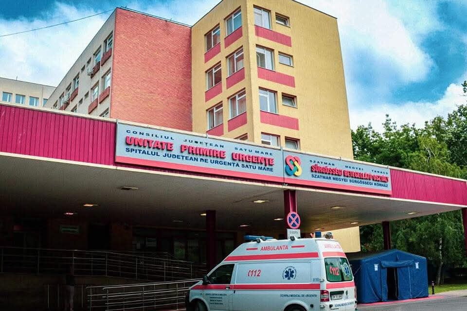 Femeie, mutilată de un husky. E la Contagioase și are mâinile fracturate