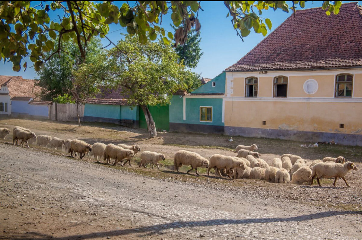 Viscri, transformat într-o adevărată perlă a Transilvaniei. Cât costă o locuință în satul care l-a cucerit pe Regele Charles