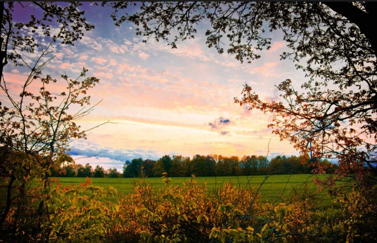 Vreme călduroasă în România. Temperaturile continuă să surprindă la început de noiembrie