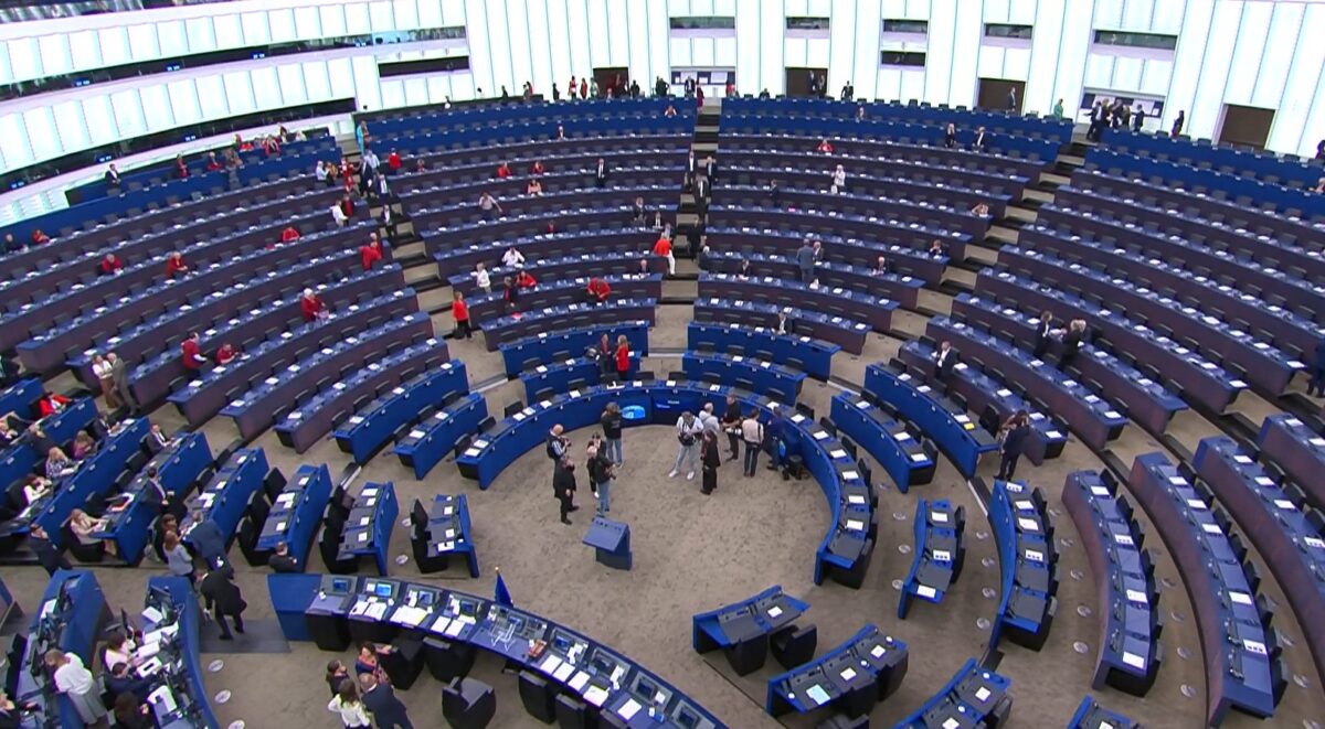 Parlamentul European interzice denumirile „steak” și „hamburger” pentru produsele vegetale