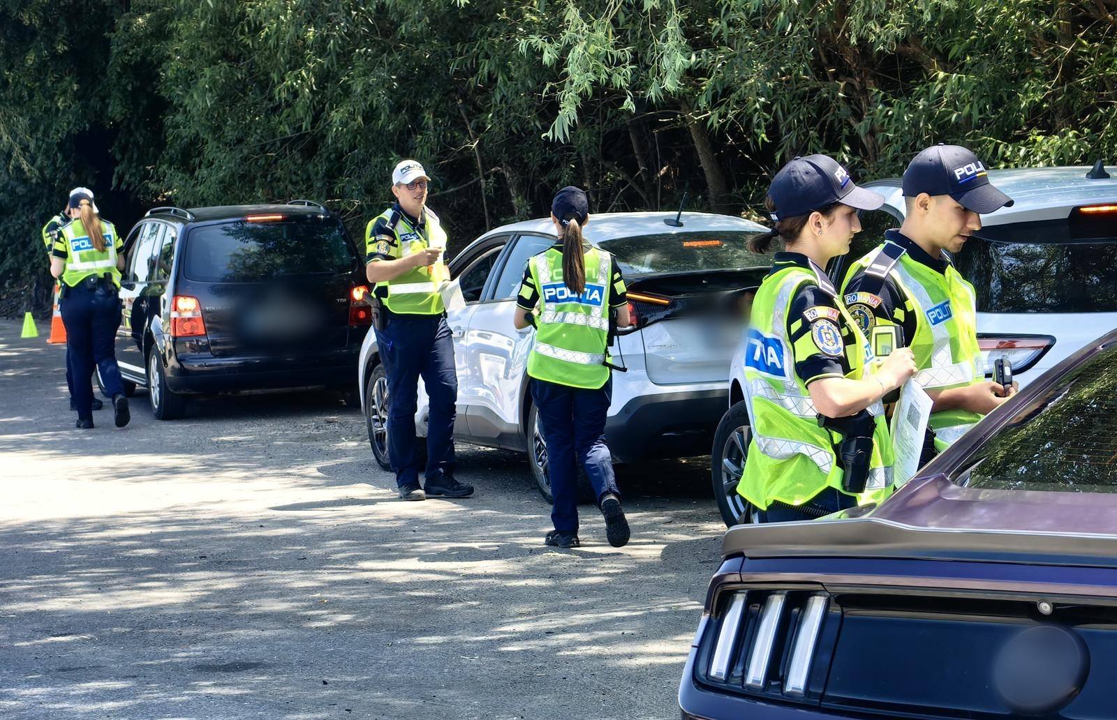 Descinderi masive la Sibiu pentru corupție și delapidare în silvicultură