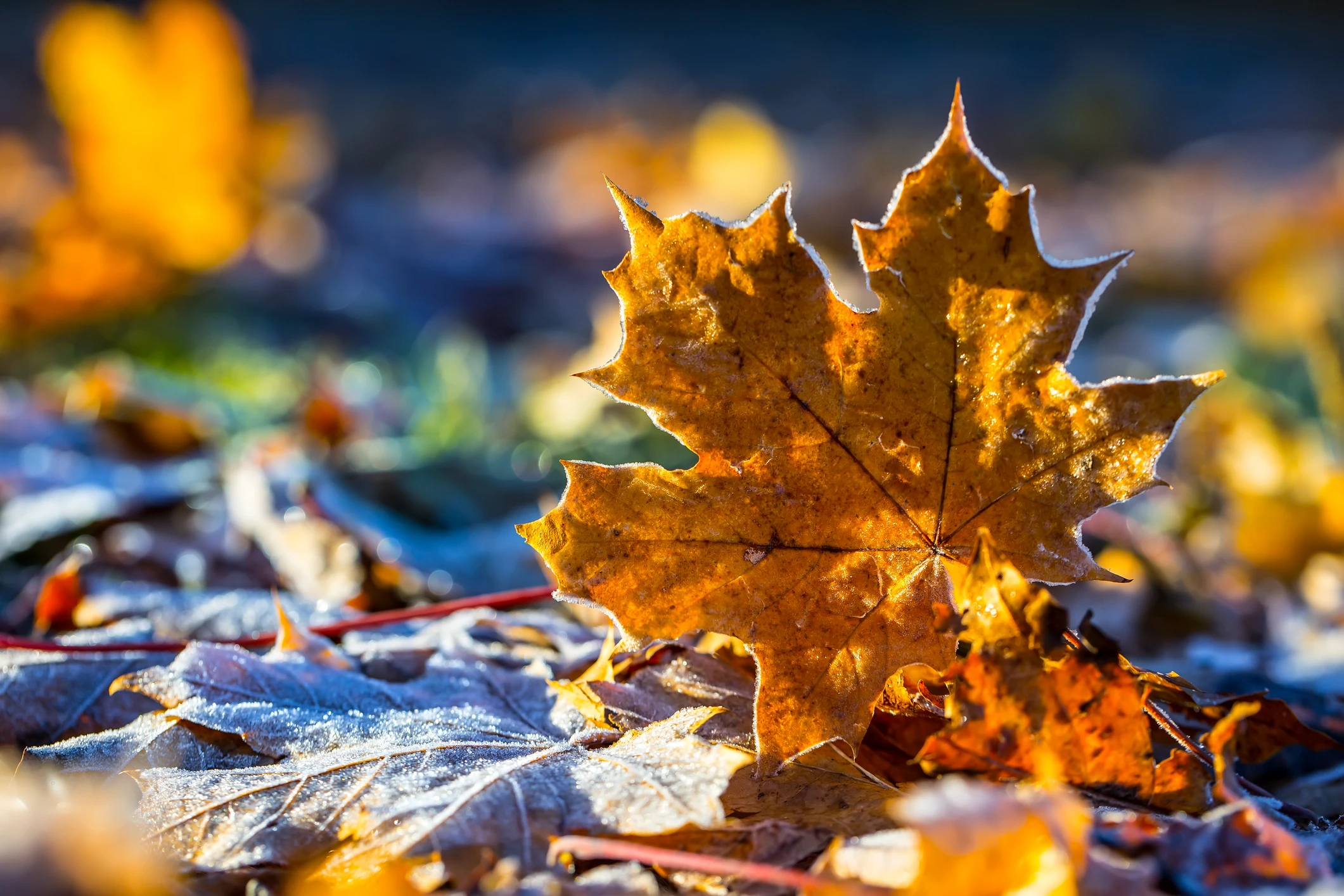 Temperaturi de iarnă la final de septembrie. Minime sub zero grade