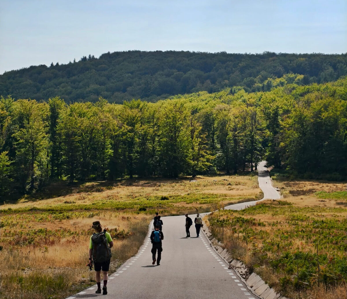 Via Transilvanica, bijuteria României. Traseul, inclus pe lista destinațiilor de neocolit în 2026