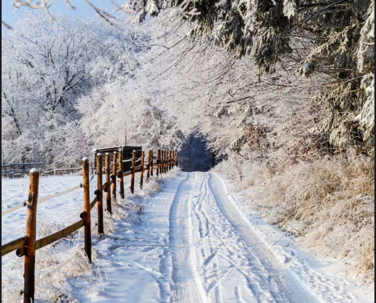 Accuweather anunță că iarna vine mai devreme în România. A fost stabilită prima zi cu temperaturi negative