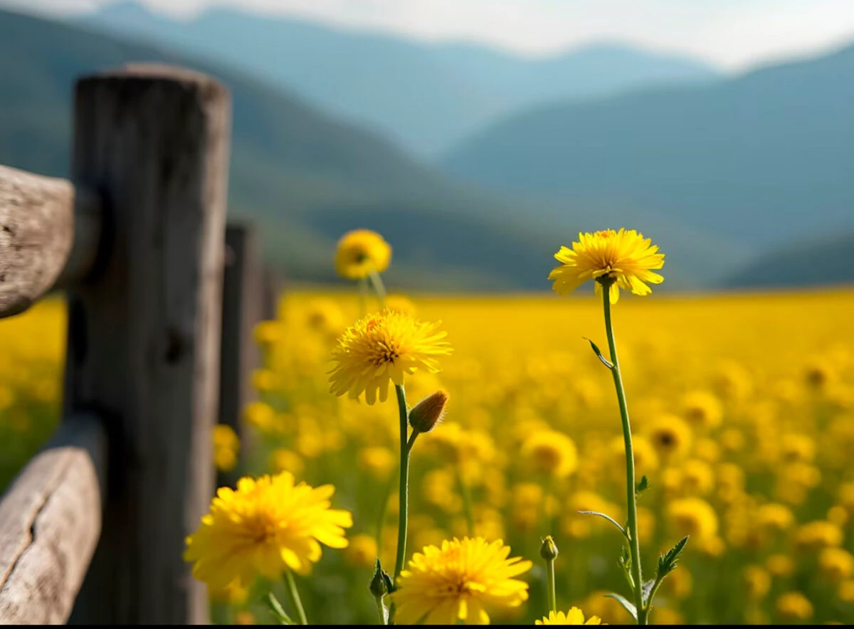 Prognoza meteo 3 septembrie. Zi toridă la început de toamnă. Unde va fi mai cald