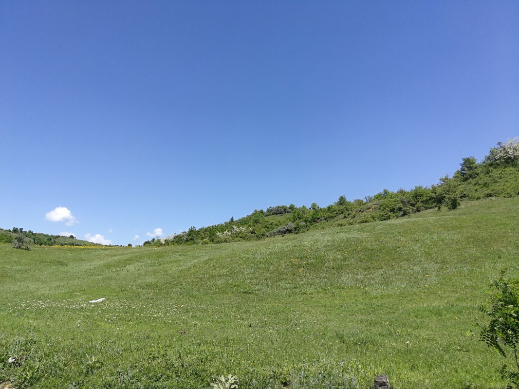 Regina Maria, eroii români și legenda Fetei Moarte. Poveștile neștiute din Valea Cașinului