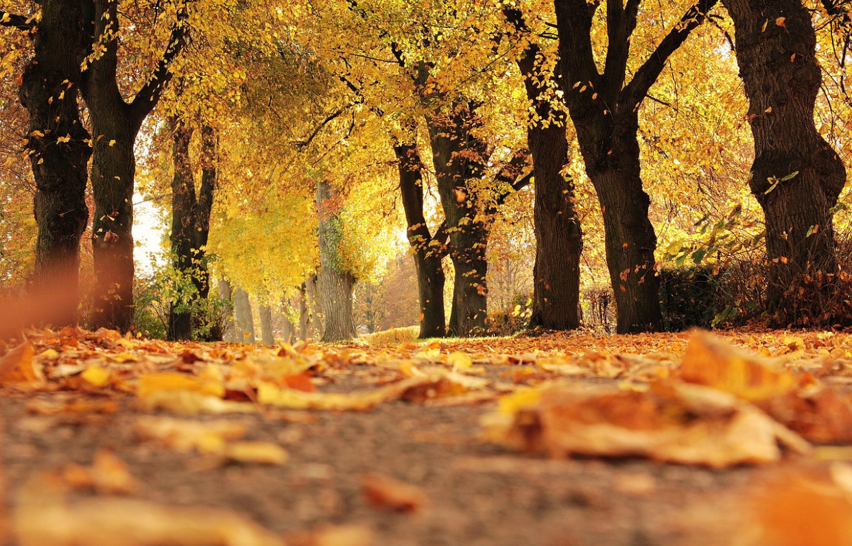 Vremea se schimbă iarăși. ANM avertizează asupra unui fenomen neobișnuit