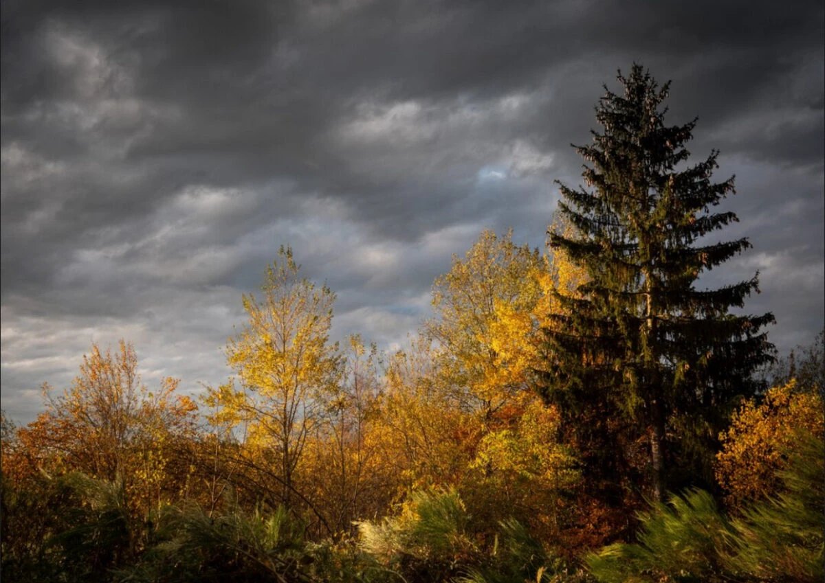 Prognoza meteo, 13 septembrie. Vreme instabilă, averse şi descărcări electrice în weekend. Unde va fi mai cald