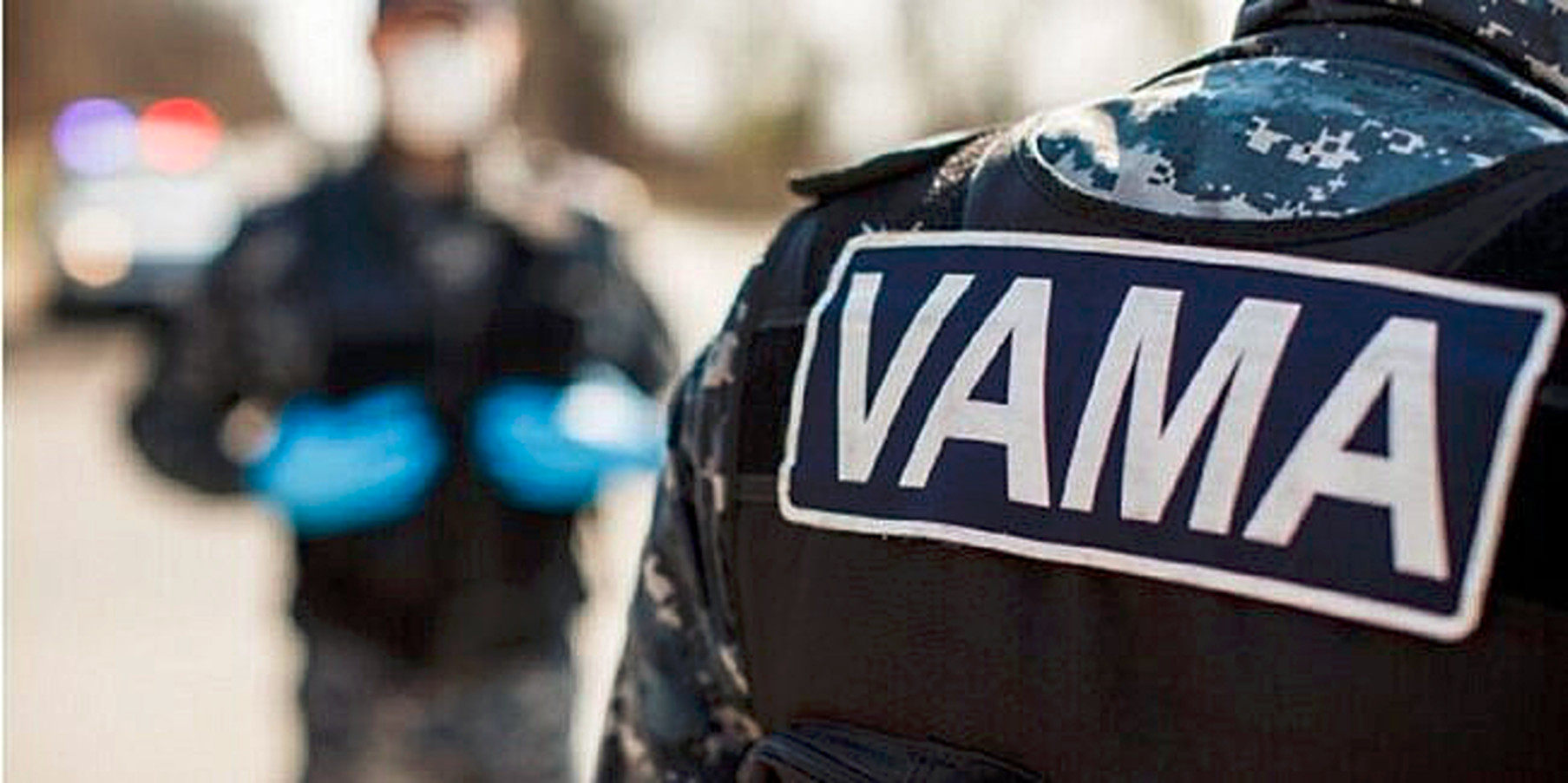 Șefa Vămii București, zeci de mii de euro ascunși în declarațiile de avere