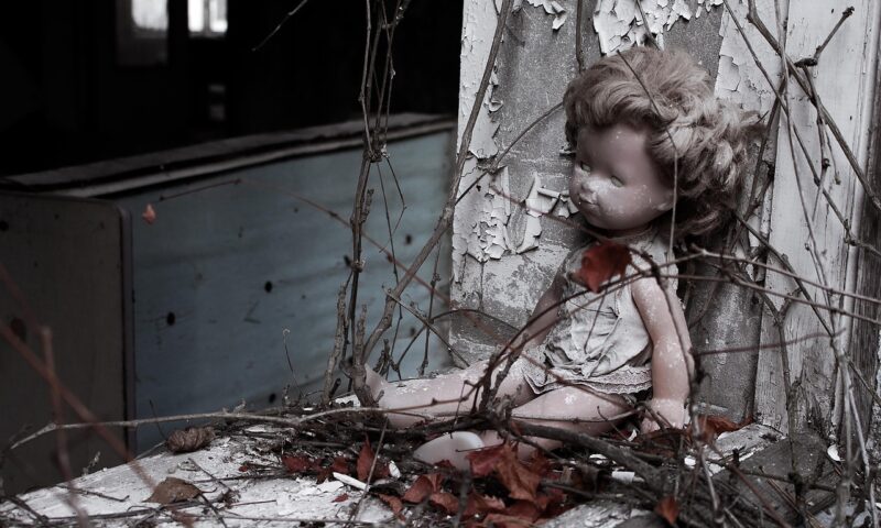 Misterele de la Cernobîl. Ce se întâmplă în prezent în zona interzisă