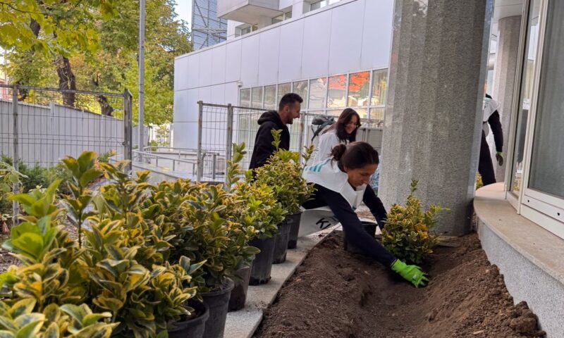 Inițiativă în sprijinul micilor pacienți. Curtea Spitalului de Copii „Dr. Victor Gomoiu” a fost transformată într-o grădină urbană