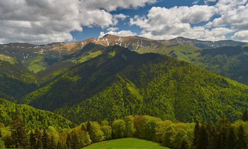 Blestemul aurului din Munții Bistriței. Comoara pierdută a haiducilor din Valea Stânii