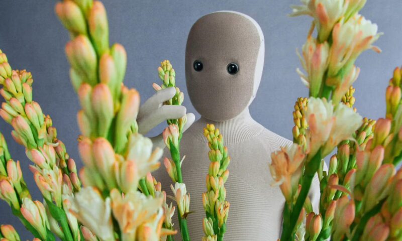 Robotul care îți schimbă viața: face curățenie, spală, dansează și vorbește cu tine. Video