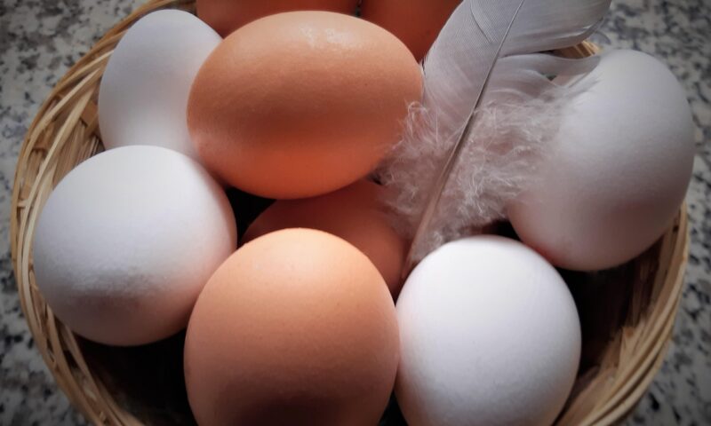 Controversa cu privire la păstrarea ouălor, tranșată de regina bucătăriei britanice, Mary Berry