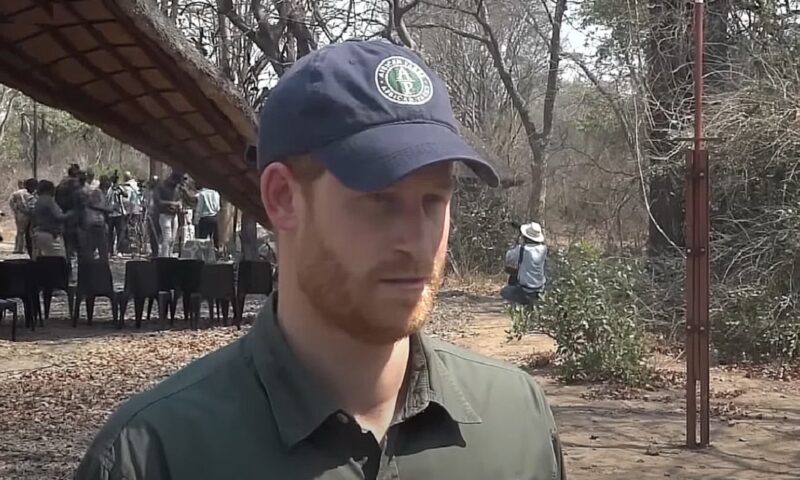 Prințul Harry, în mijlocul unui scandal financiar și politic în Ciad