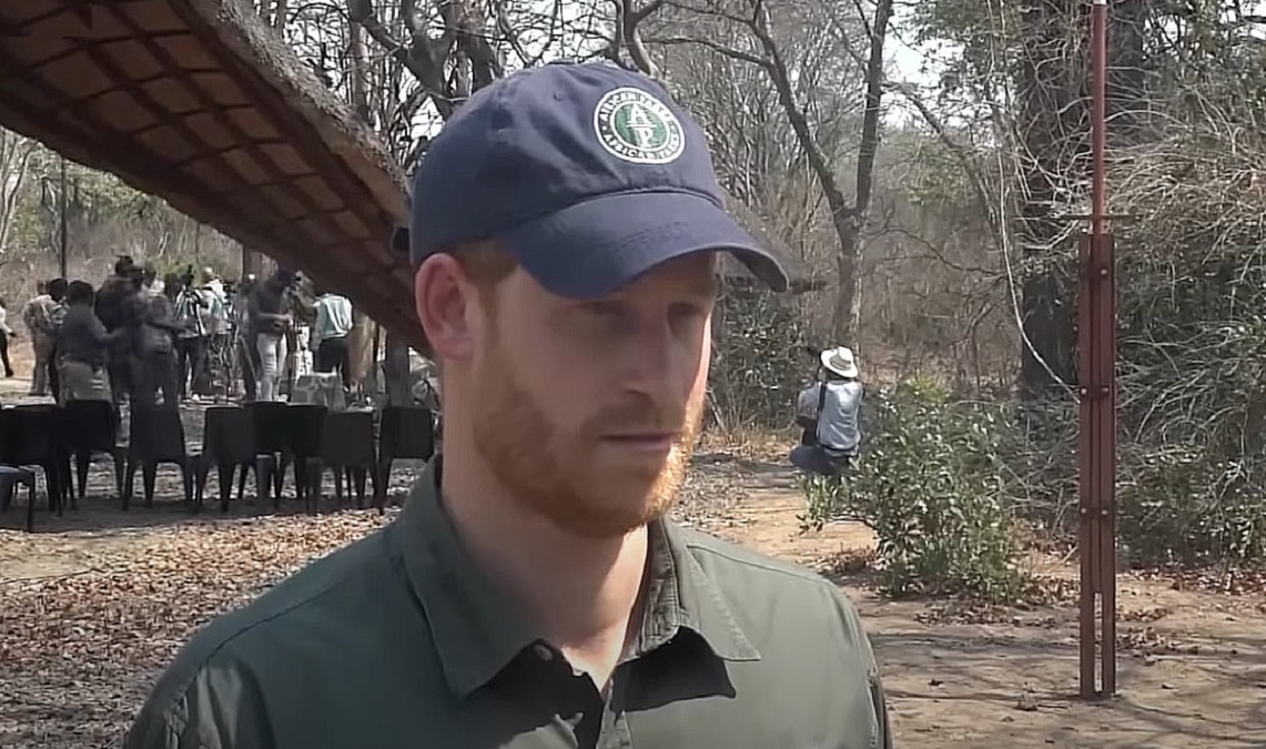 Prințul Harry, în mijlocul unui scandal financiar și politic în Ciad