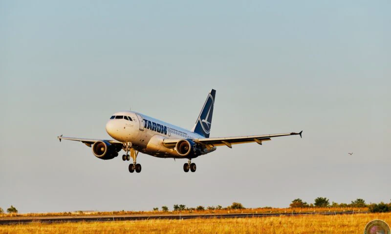 Noile reguli TAROM pentru transportul câinilor și pisicilor în avion