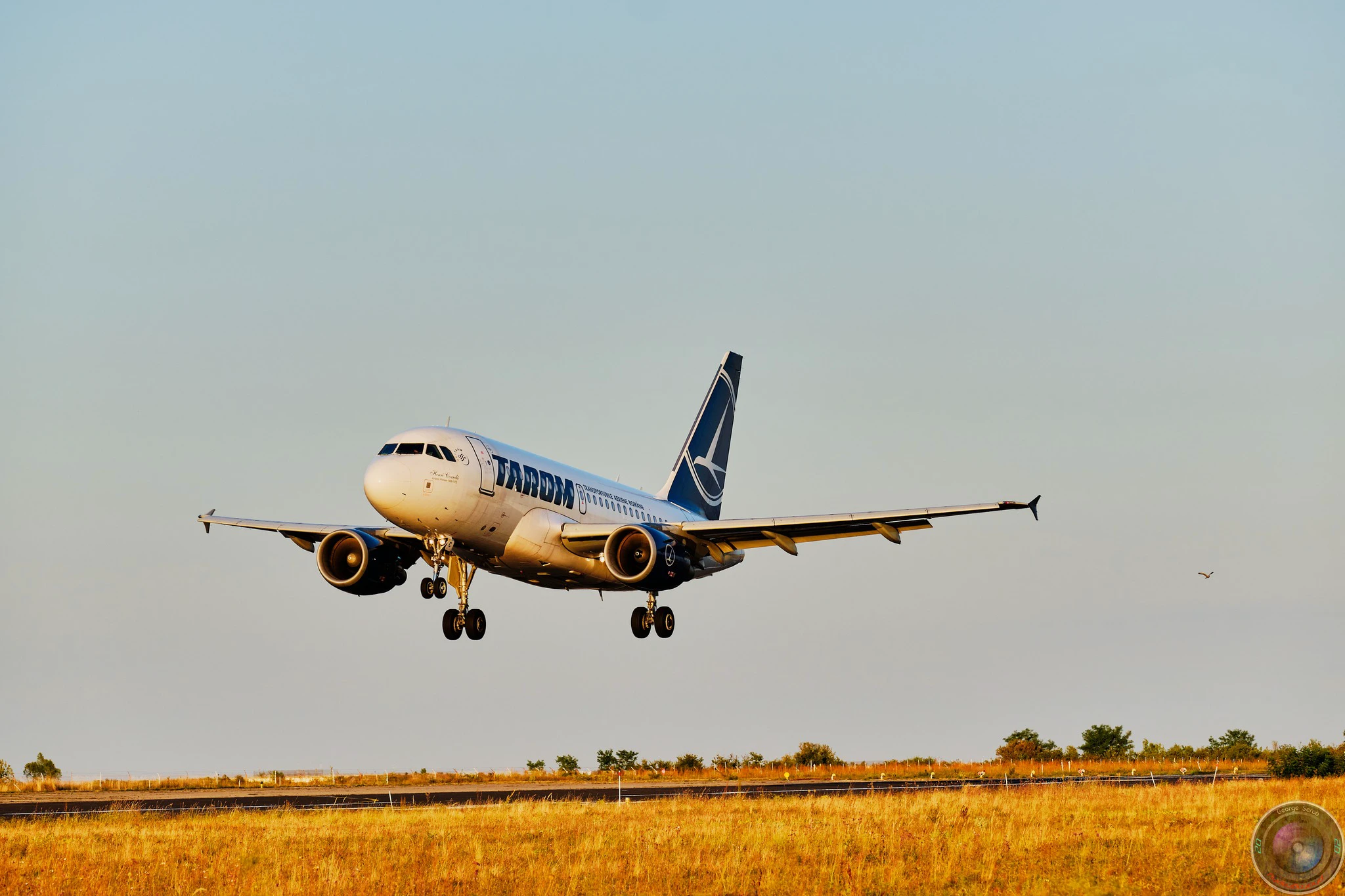 Tarom