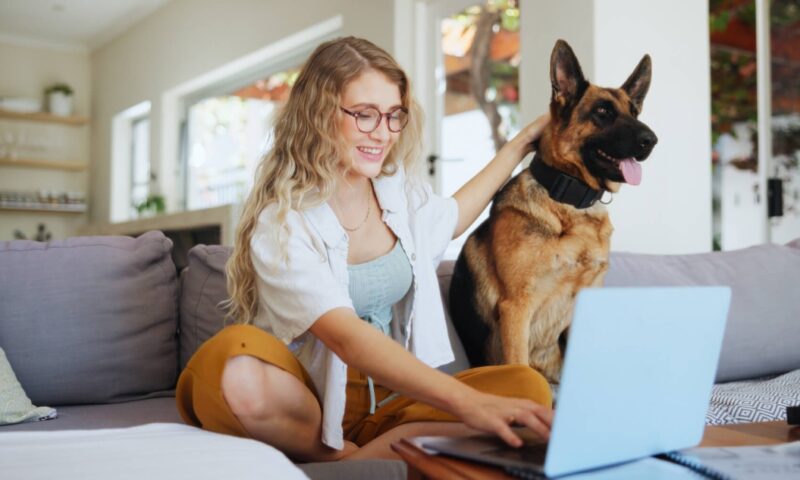 Apartament studio pentru „sprint”, apartament de 2 camere pentru „maraton”