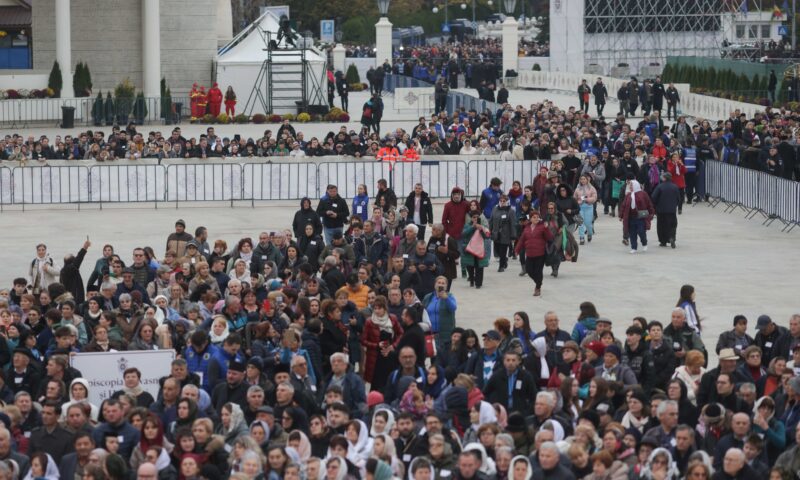 Bărbatul prins cu materiale legionare la Catedrala Națională, apropiat de partidul lui Șoșoacă și fost candidat AUR