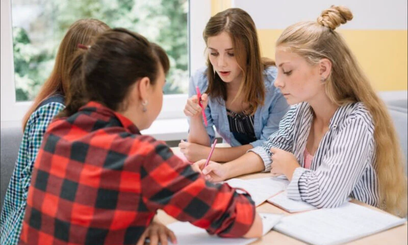 Notițele pentru Bac, transformate în afacere pe rețelele sociale. Prețurile pornesc de la 30 de lei