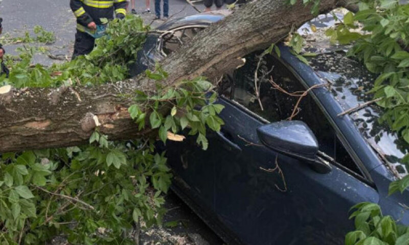 Drepturile asiguraților RCA în pericol. Ce se întâmplă marți în Parlament