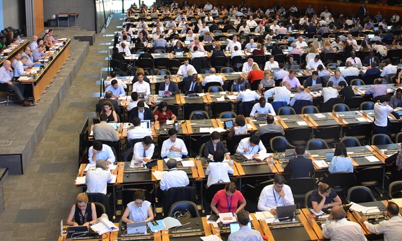 OMC anticipează o creștere a comerțului în 2025, urmat de o încetinire anul viitor