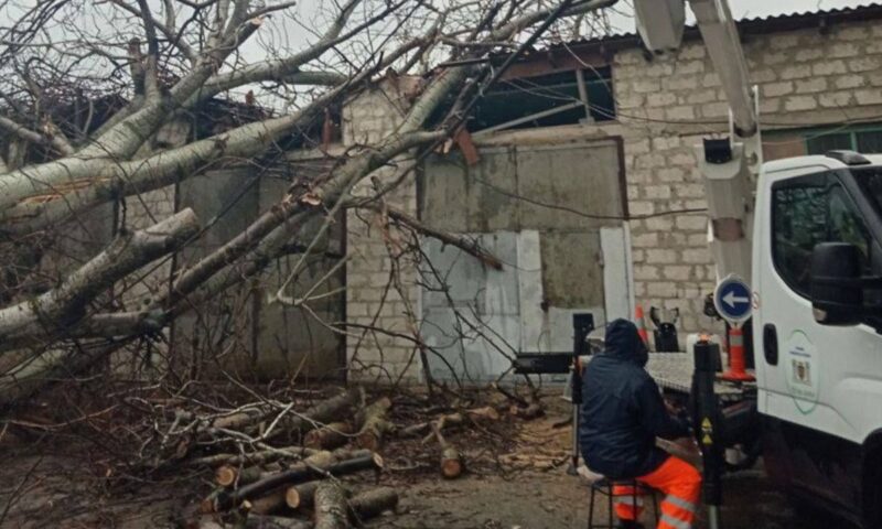 Ploile torențiale au făcut ravagii în Chișinău. Străzi inundate și copaci doborâți