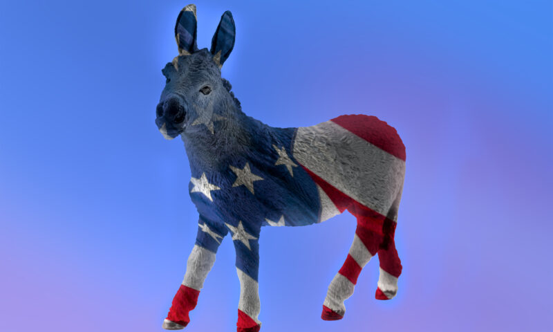 Candidata Democraților pentru California, derapaje în fața presei