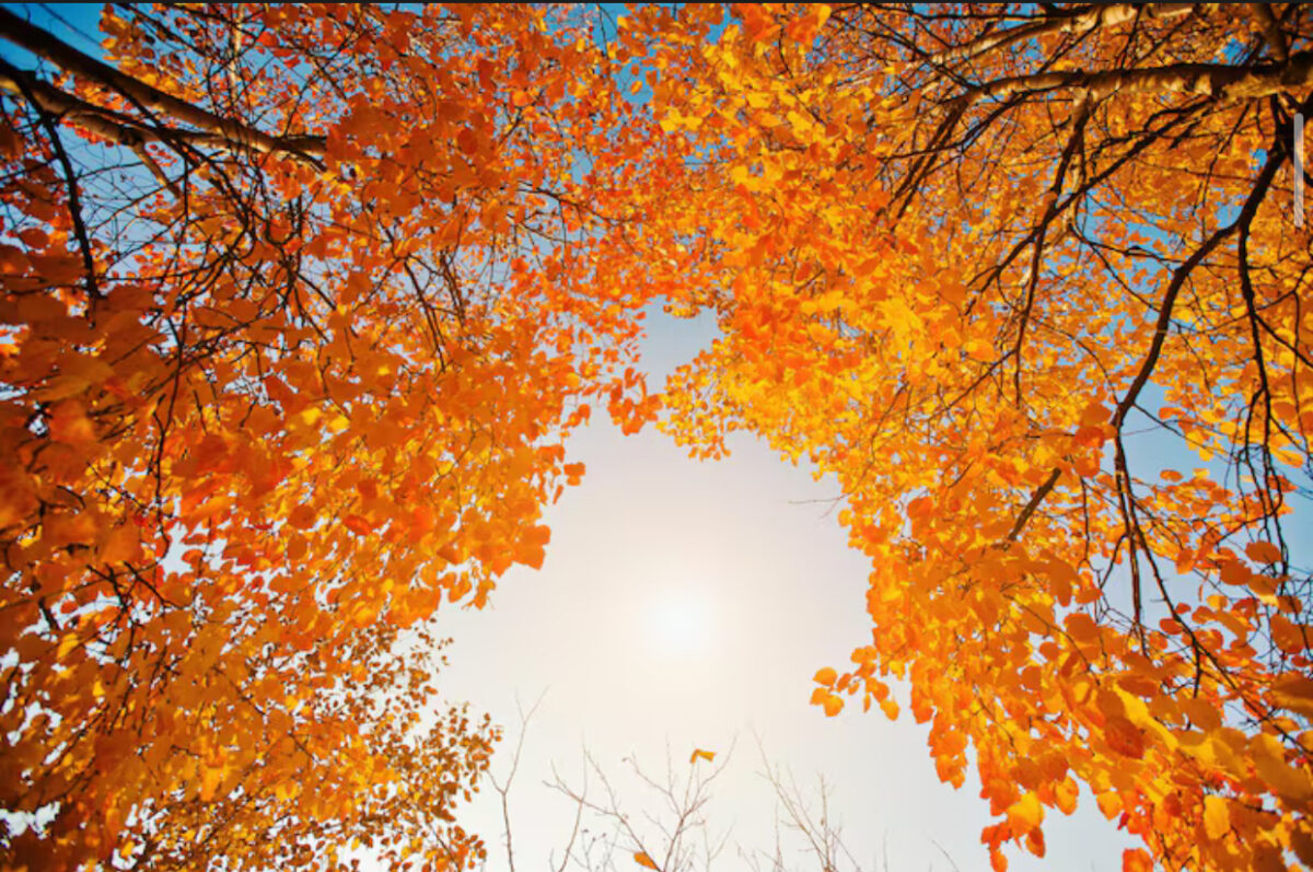 Prognoza meteo, 23 octombrie. Temperaturi de vară la final de lună. Ploile vor fi prezente doar în anumite regiuni