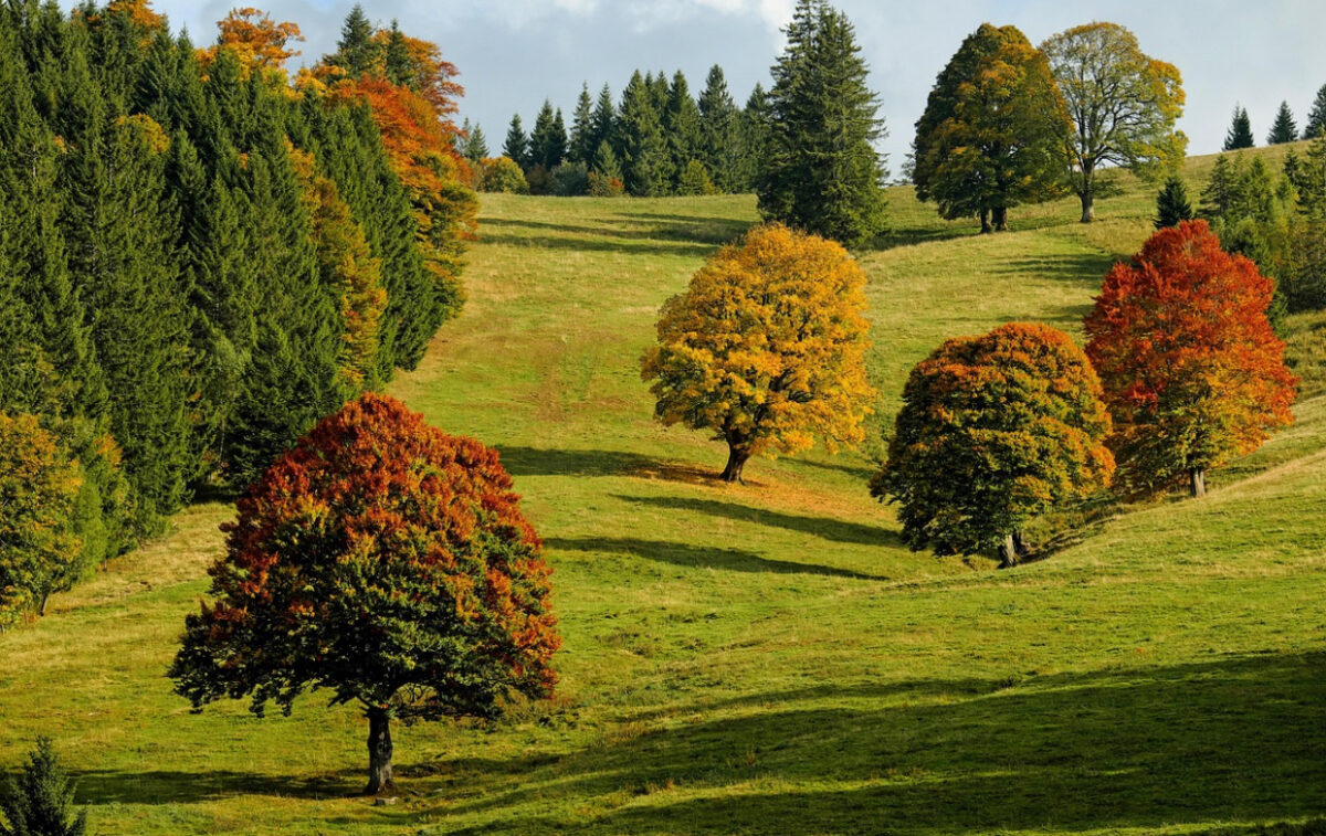Prognoza meteo, 1 noiembrie. Început de weekend cu vreme de grătare. Temperaturile vor fi neobișnuit de ridicate în țară