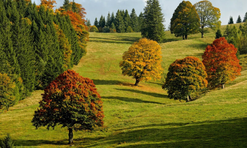 Prognoza meteo, 9 noiembrie. Vreme de plimbări în majoritatea județelor. Ploile apar pe alocuri