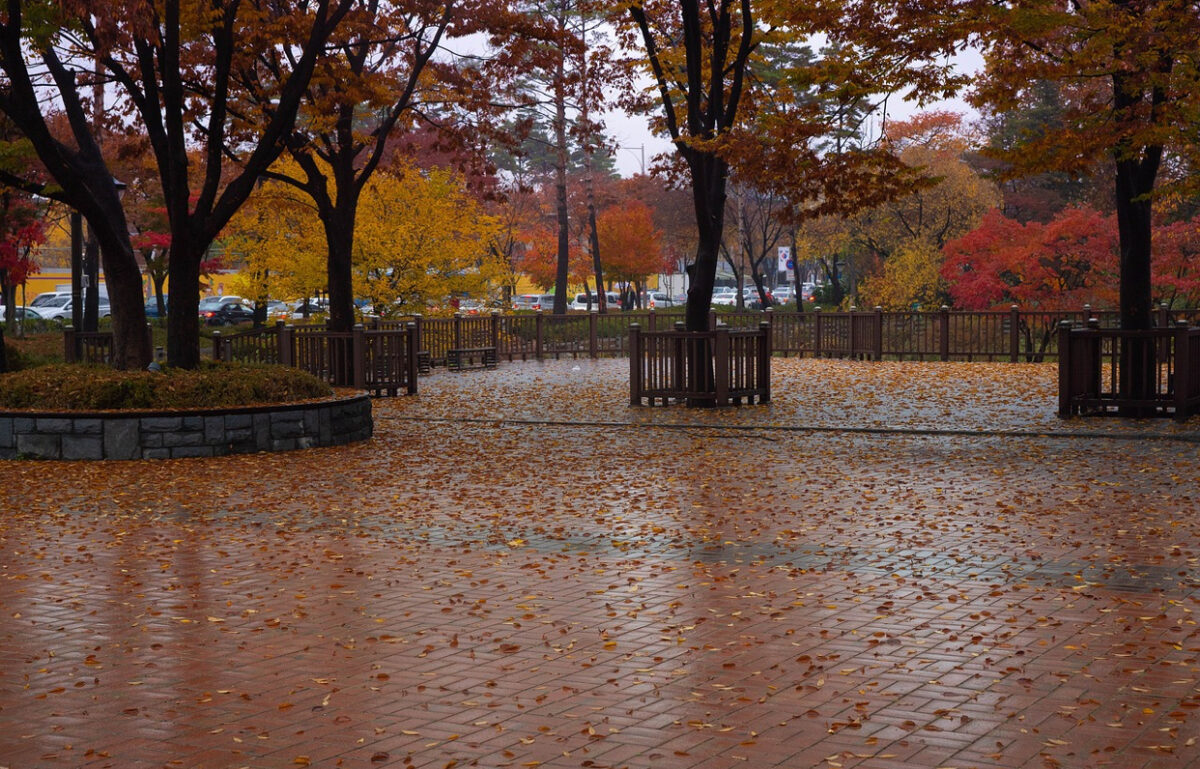 Prognoza meteo, 28 octombrie 2025. Vreme instabilă în următoarele ore. Ploaie, lapoviță și rafale puternice de vânt