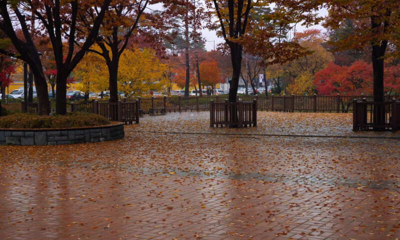 Prognoza meteo, 28 octombrie 2025. Vreme instabilă în următoarele ore. Ploaie, lapoviță și rafale puternice de vânt